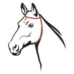 croquis-cheval-medaille-800px