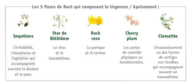 Tableau des Fleurs de Bach - Complexe Urgences Apaisement