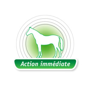 Melaflon Cheval : Action immédiate