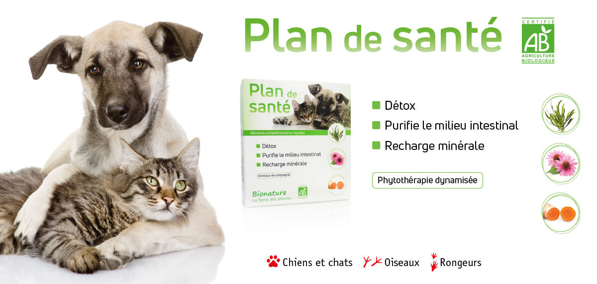 Oskan Produits 100 Naturels Pour Chiens Chats Et Chevaux Oskan Produits 100 Naturels Pour Chiens Chats Et Chevaux