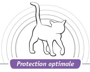 protection optimale
